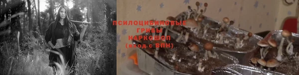 твердый Горнозаводск