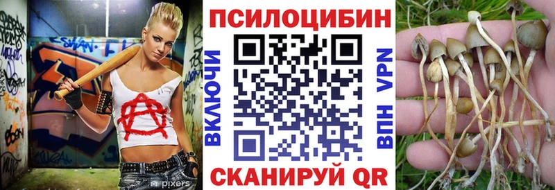 Псилоцибиновые грибы Magic Shrooms  Купить  Катайск 